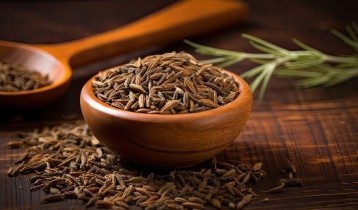 Les bienfaits du Carvi