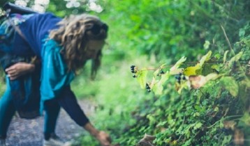 Échinococcose : symptômes, conséquences et traitements