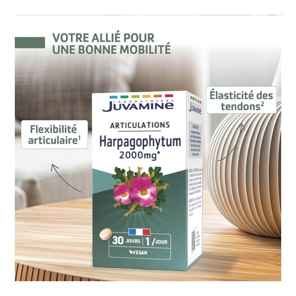 Juvamine Harpagophytum 2000 mg comprimés