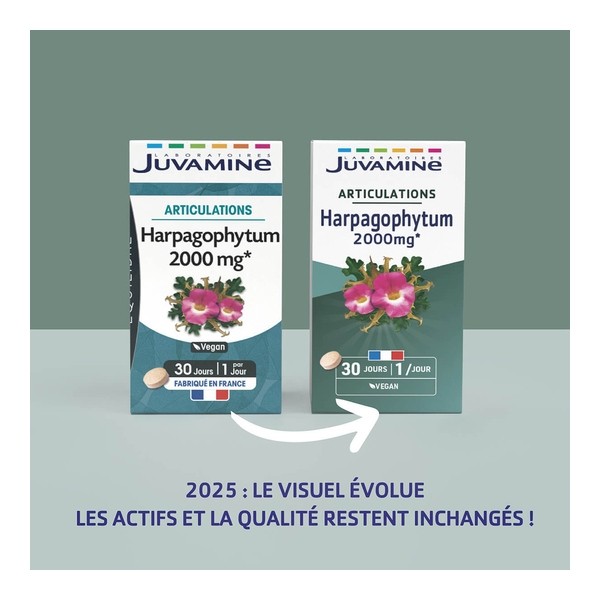 Juvamine Harpagophytum 2000 mg comprimés