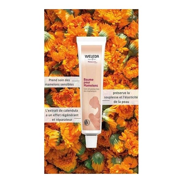 Weleda Baume pour mamelons bio