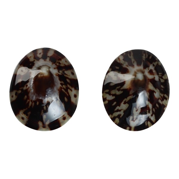 Mom's Shell Coquillage d'allaitement