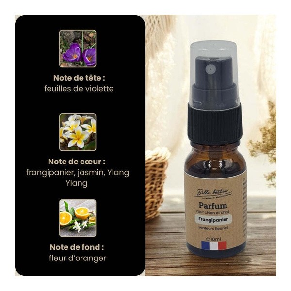 Bella Bestia parfum pour chien et chat Frangipanier