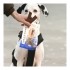 BF Petfood Lamelles de viande