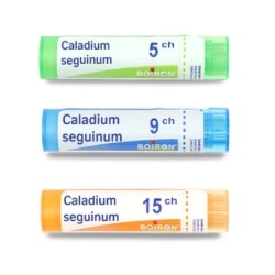 Boiron Caladium seguinum médicament homéopathique en granules