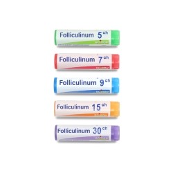 Boiron Folliculinum dose