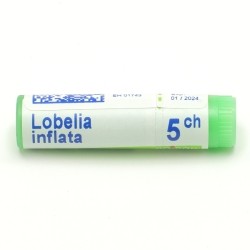 Boiron Lobelia inflata 5CH en unidose