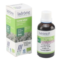 Ladrôme extrait de plante fraîche bio Thym vrai