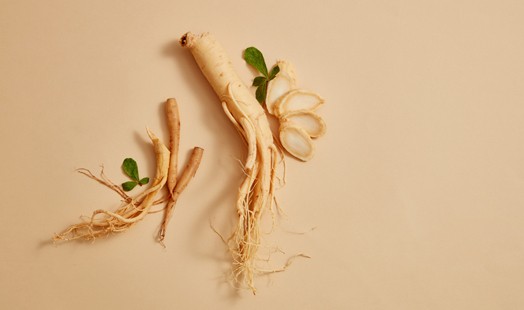Le ginseng coréen : bienfaits, utilisation et précautions d'emploi