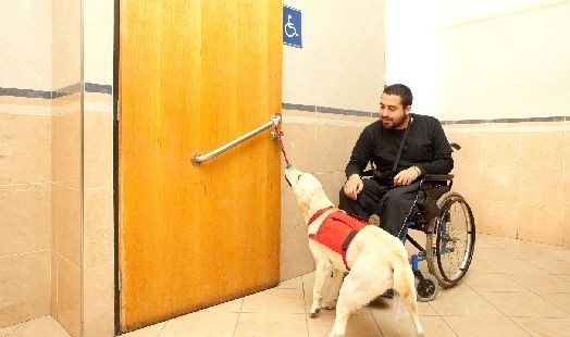 Chien d’assistance : pour quels malades joue-il un rôle primordial ?