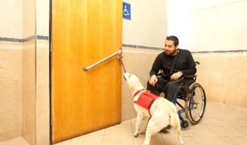 Chien d’assistance : pour quels malades joue-il un rôle primordial ?