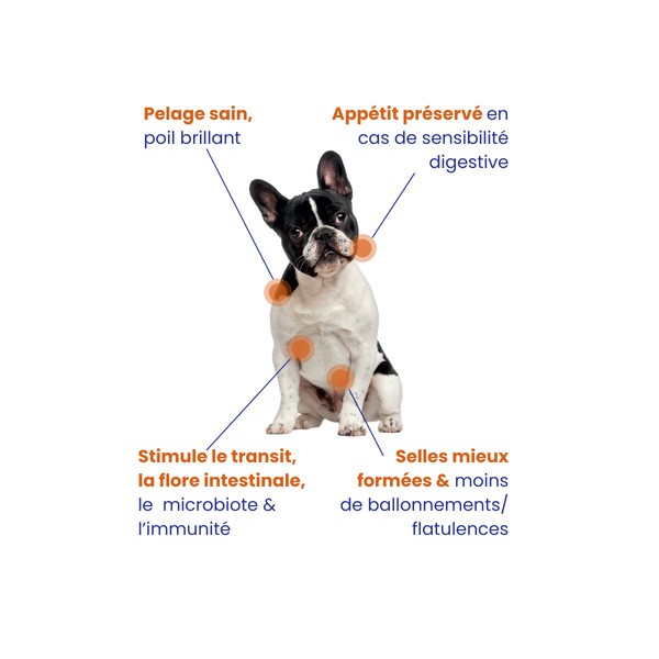 Lapsa Croquettes Chien Adulte Digestion facile