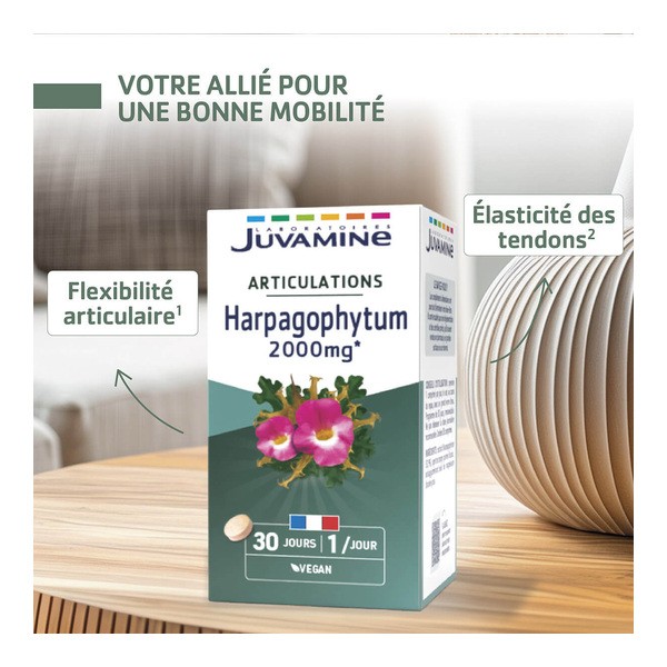 Juvamine Harpagophytum 2000 mg comprimés