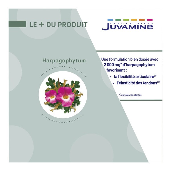 Juvamine Harpagophytum 2000 mg comprimés
