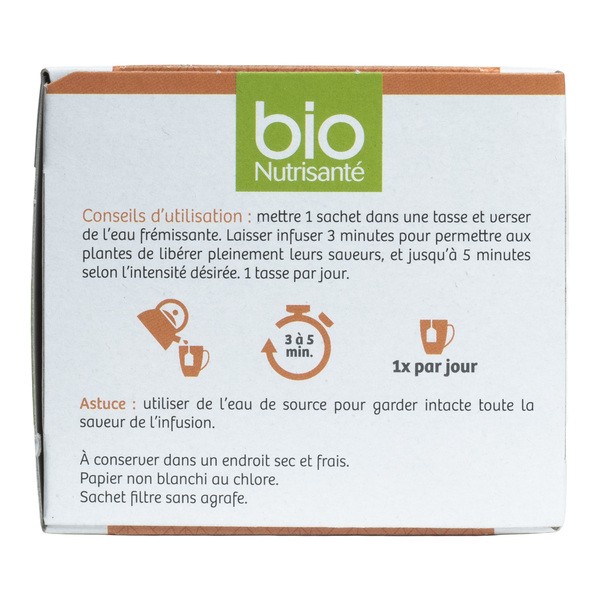 Bio Nutrisanté infusion Curcuma Bio