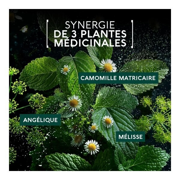 Naturactive Maux de ventre Flash gélules