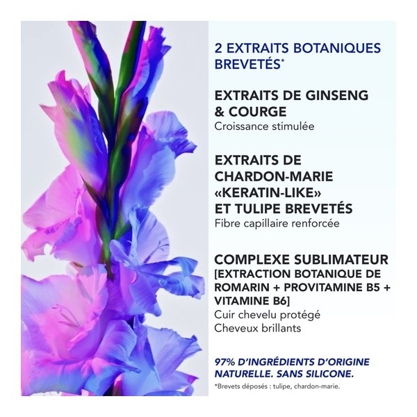 Phytophanère Ultra Sérum boosteur de longueur