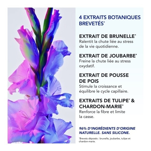 Phytophanère Antichute réactionnelle ampoule