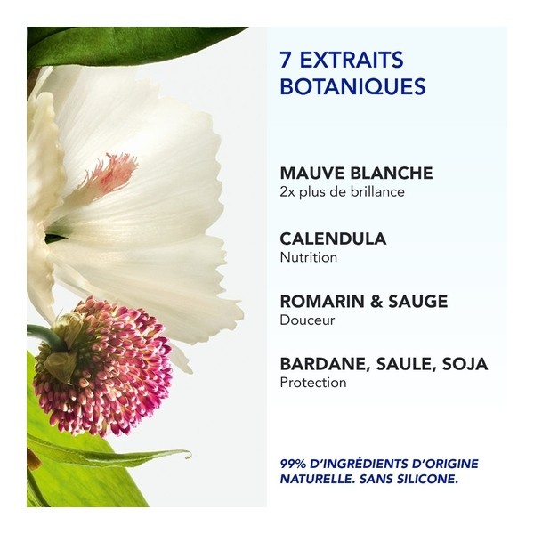 Phyto 7 Elixir Crème de jour universelle