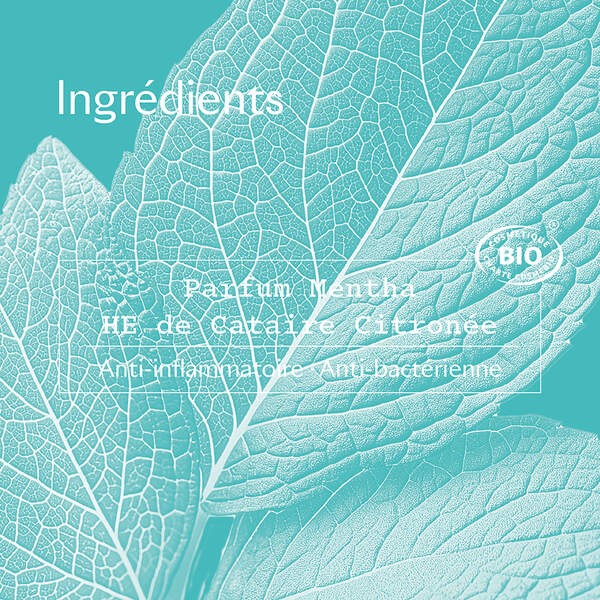 Sanoflore Déodorant Mentha 48H bio roll on