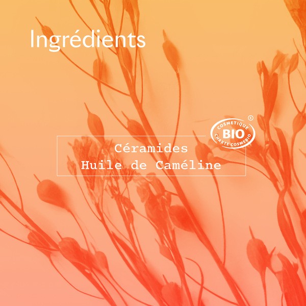 Sanoflore Cera botanica Baume Mains Réparateur bio