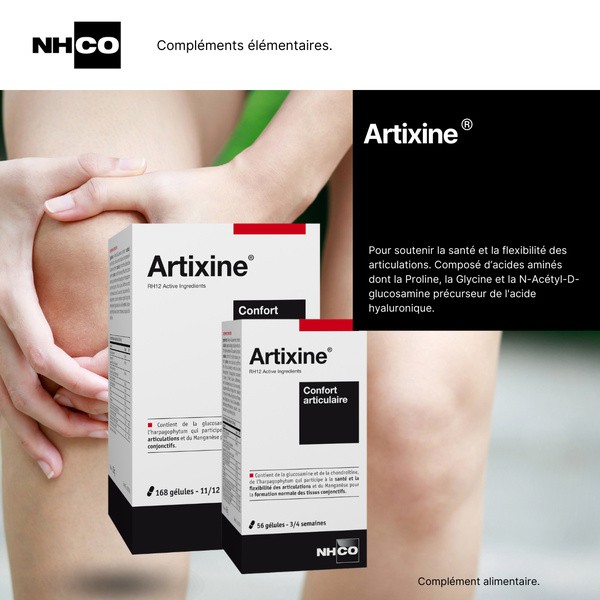 NHCO Artixine gélule
