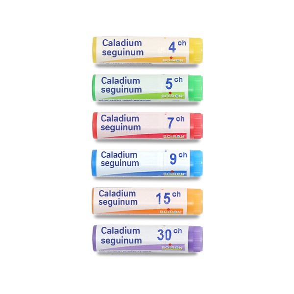Boiron Caladium seguinum dose