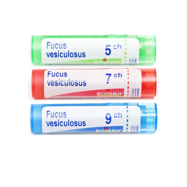Boiron Fucus vesiculosus granules