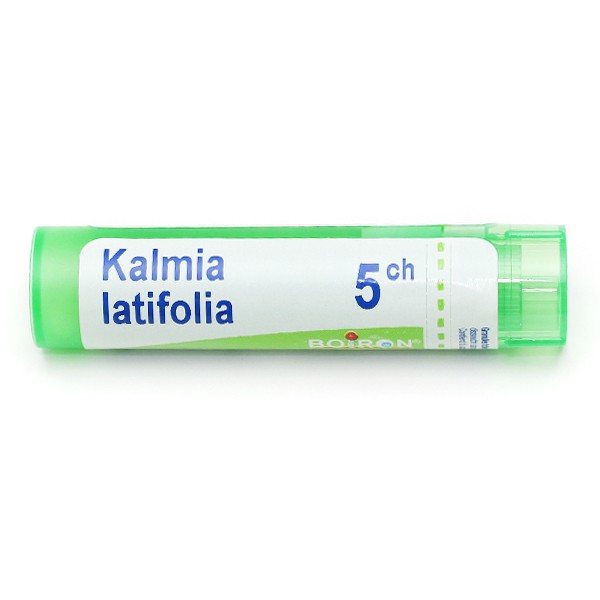 Boiron Kalmia latifolia granules