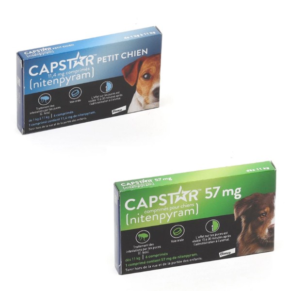 Capstar pour chien traitement anti puces en comprimés