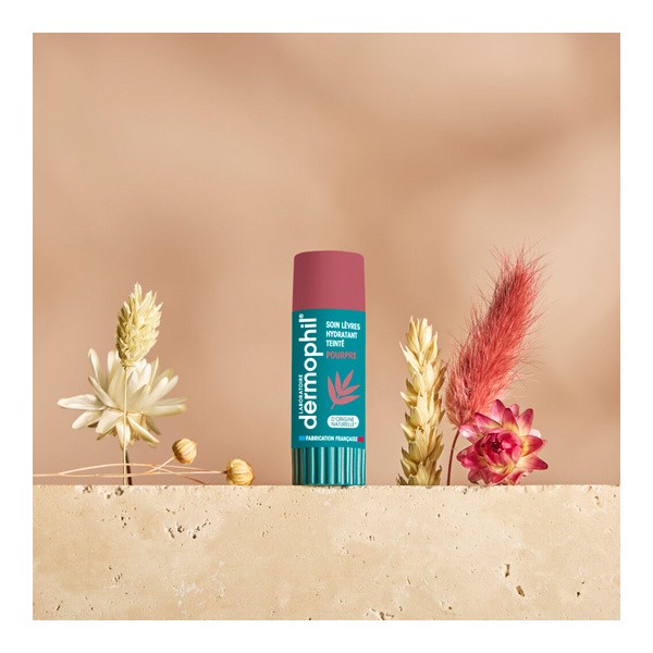 Dermophil Indien stick lèvre hydratant teinté pourpre