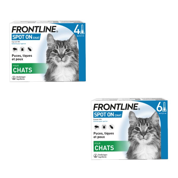 Frontline Spot on chat pipette anti puce