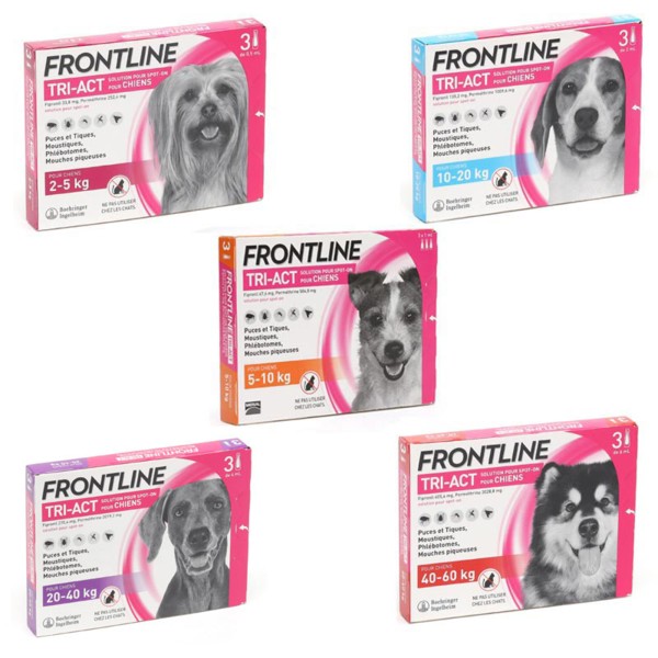 Frontline TRI-ACT spot on pipettes pour chien