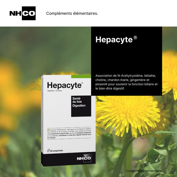NHCO Hepacyte comprimé
