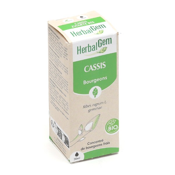 HerbalGem Cassis Bio