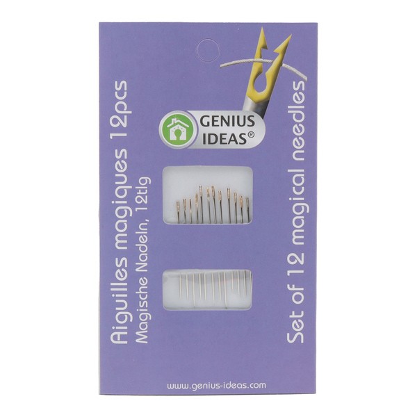 Aiguilles magiques x12