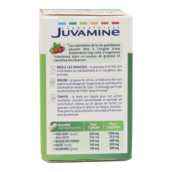 Juvamine Expert Minceur gélules
