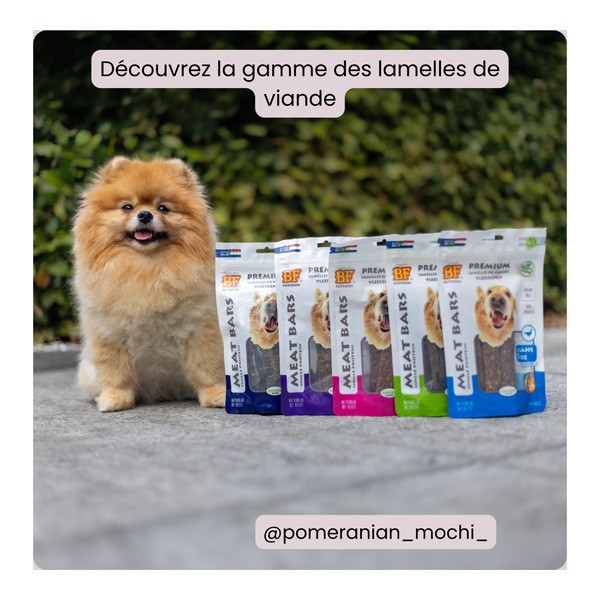 BF Petfood Lamelles de viande à la dinde