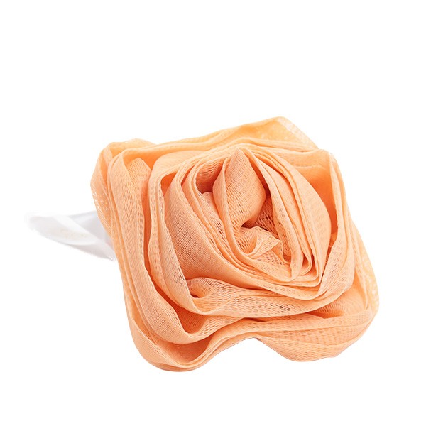 Cadeau : Fleur de douche