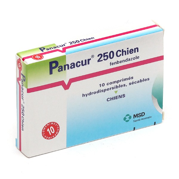 Panacur 250 Chien comprimés