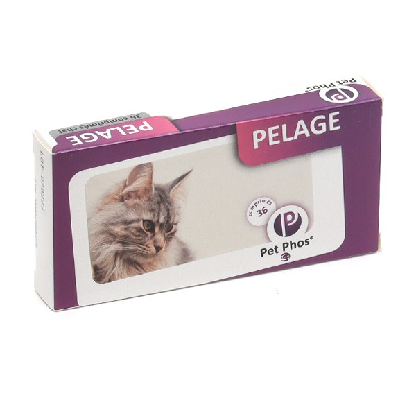 Pet Phos Pelage Chat comprimés