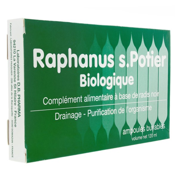 Raphanus S.Potier biologique ampoule Radis noir Drainage
