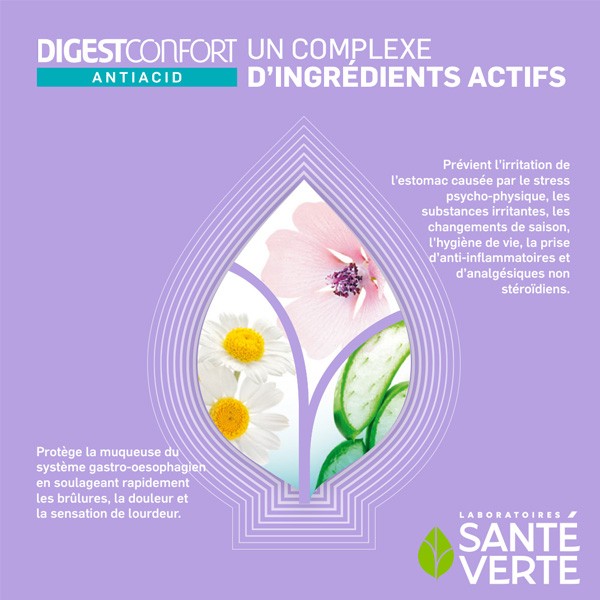 Santé Verte DigestConfort Antiacid comprimés