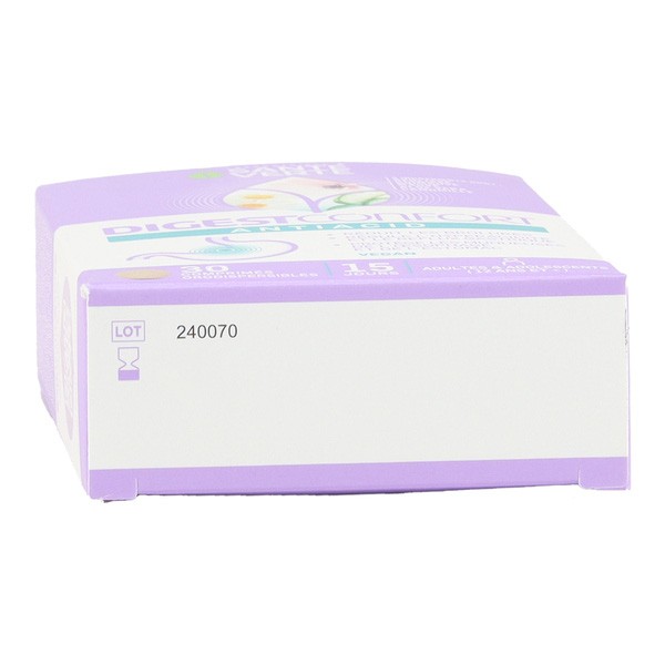 Santé Verte DigestConfort Antiacid comprimés