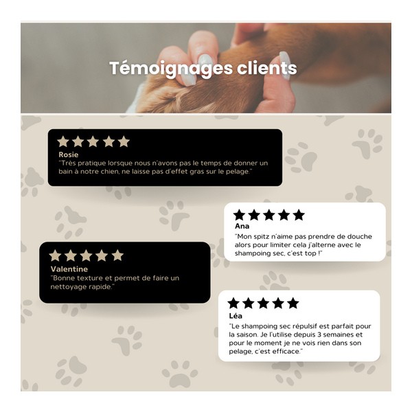 Bella Bestia Shampoing sec Chien et Chat