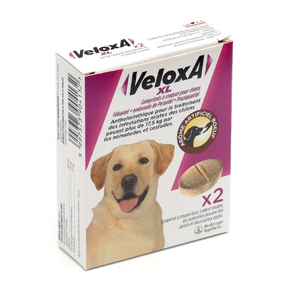 Veloxa XL Chien comprimé vermifuge