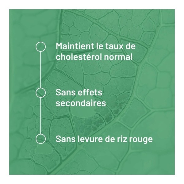 Valbiotis Pro Cholestérol gélules