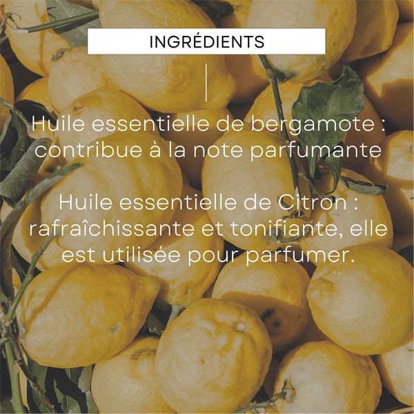 Weleda déodorant stick 24h bio Citrus bergamote