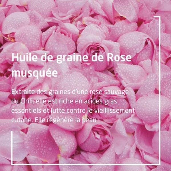 Weleda Rose Musquée et Thé blanc Crème de jour lissante Bio