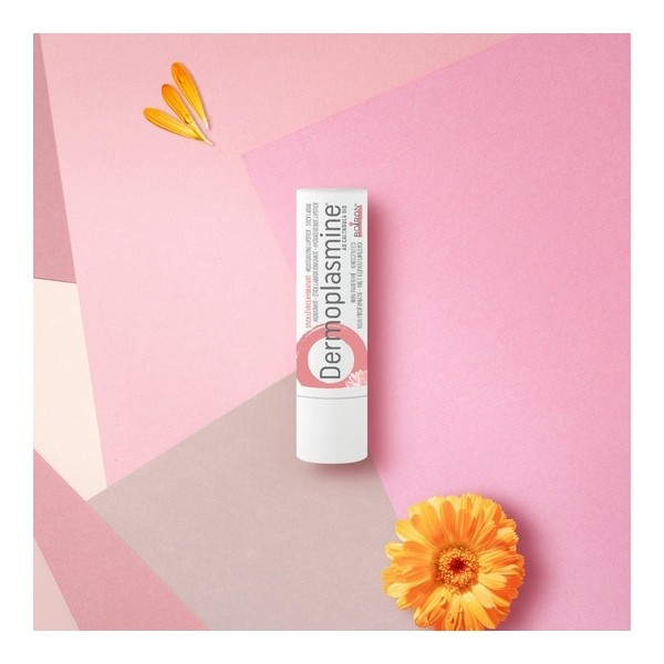 Boiron Dermoplasmine stick lèvres